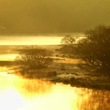 dailyPhoto39